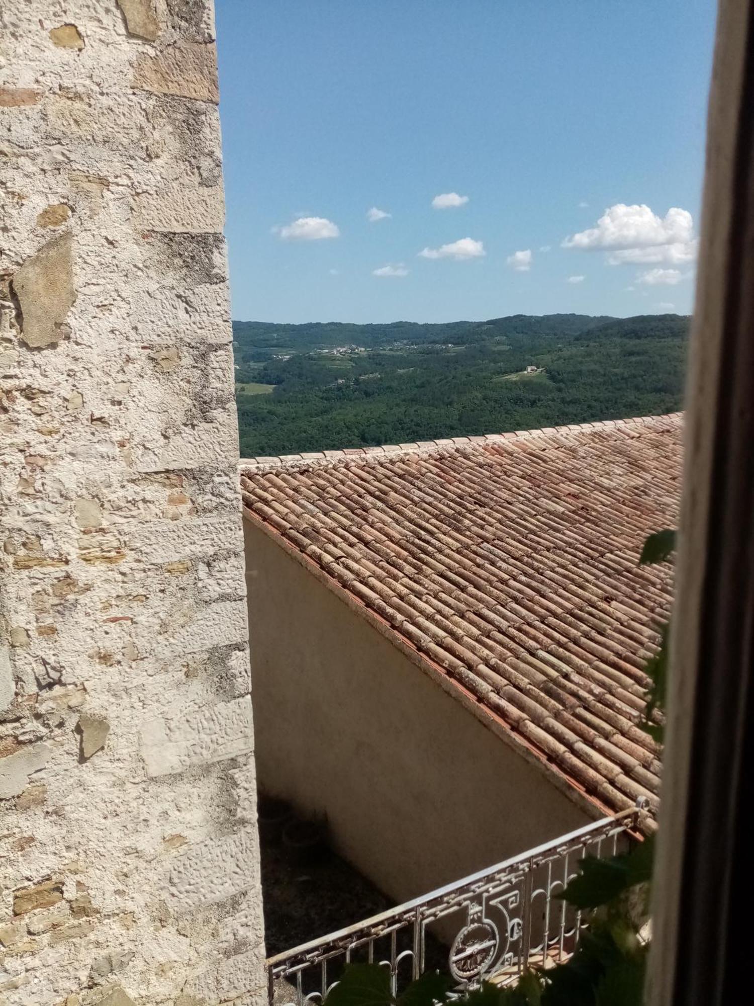Studio Apartman Bel Vedere Мотовун Экстерьер фото